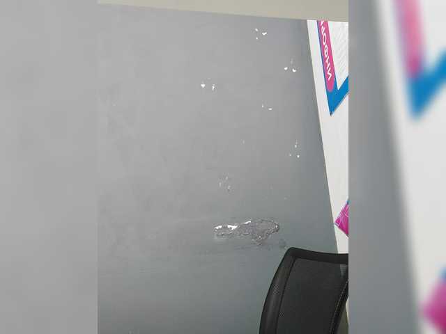 LillyJosepha live cam on BongaCams