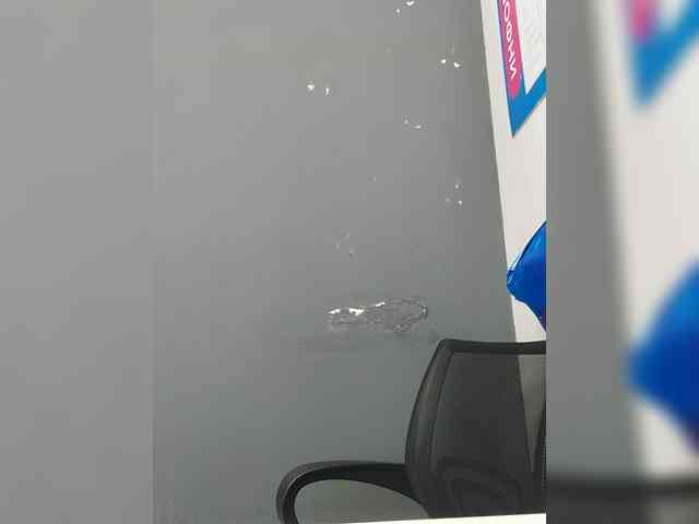 LillyJosepha webcam
