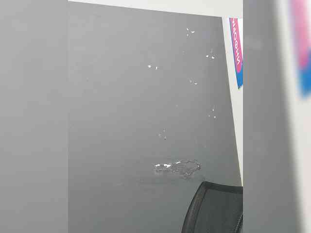 LillyJosepha webcam