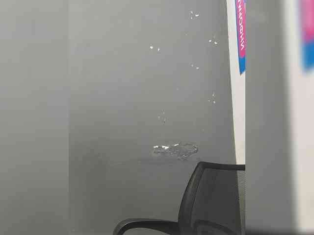 LillyJosepha webcam