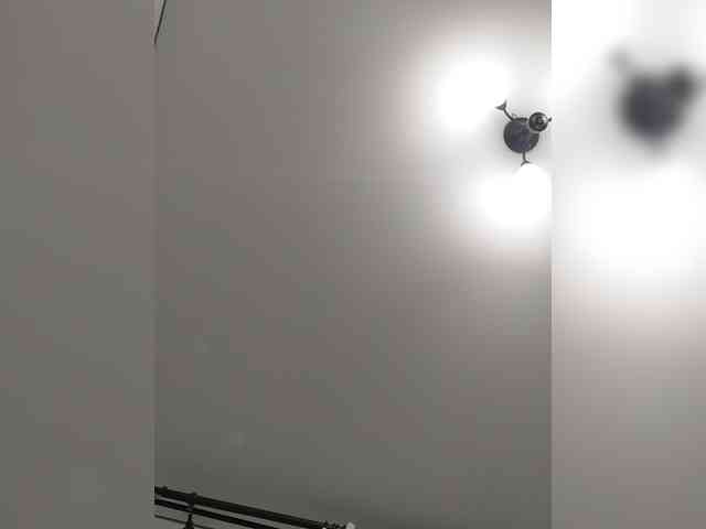 LillyJosepha webcam