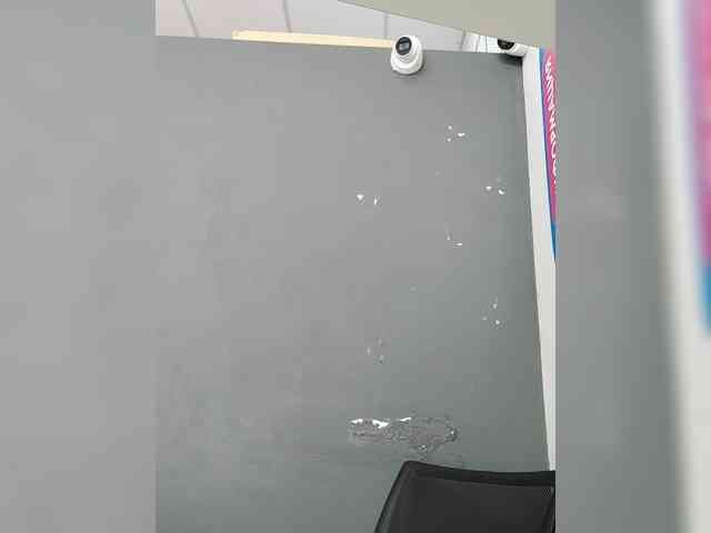 LillyJosepha webcam