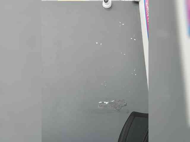 LillyJosepha webcam