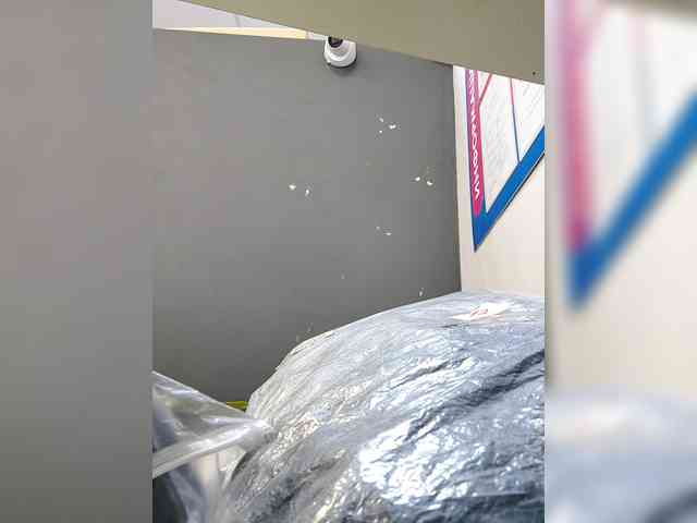 LillyJosepha webcam