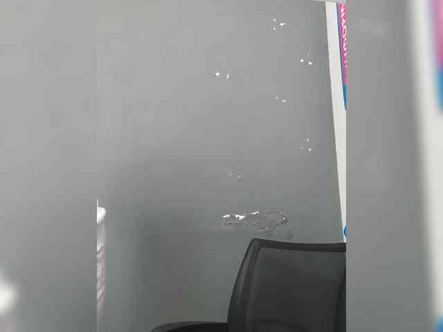 LillyJosepha webcam