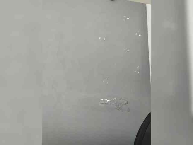 LillyJosepha webcam