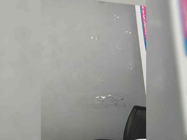 LillyJosepha webcam