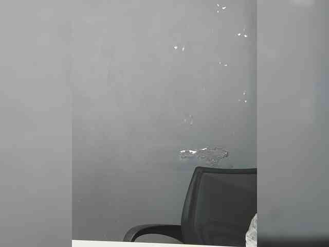 LillyJosepha webcam