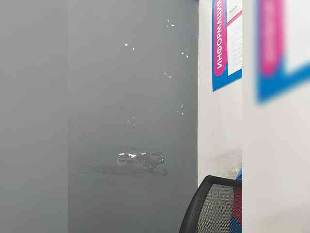 LillyJosepha webcam