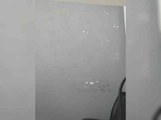 LillyJosepha webcam
