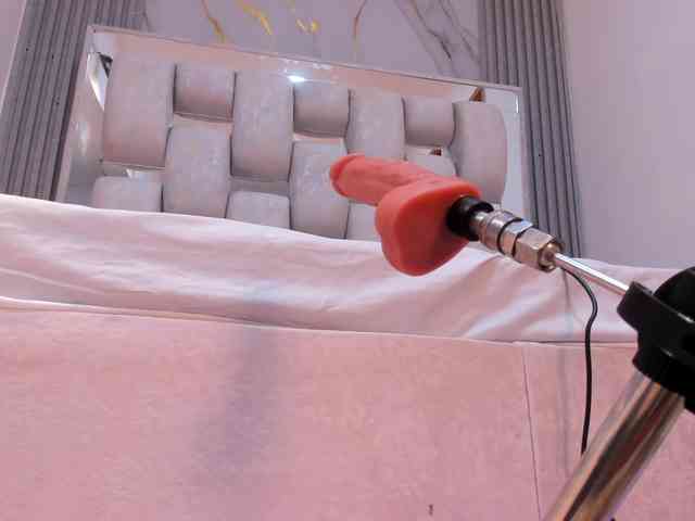 Wonderkloe webcam
