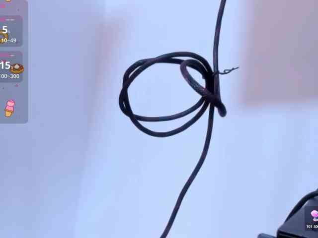 Wonderkloe webcam