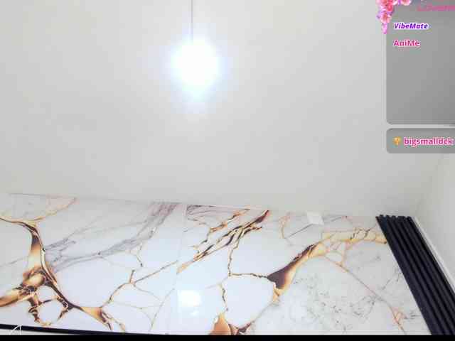 Wonderkloe webcam