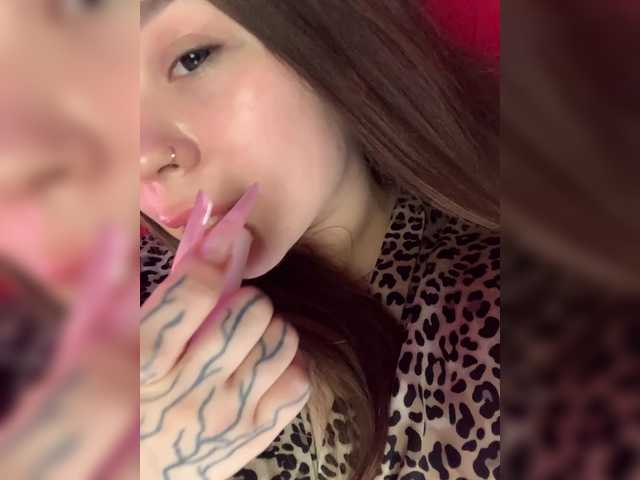 Alex-assa live cam on BongaCams