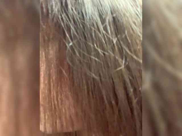 Lexxxie webcam