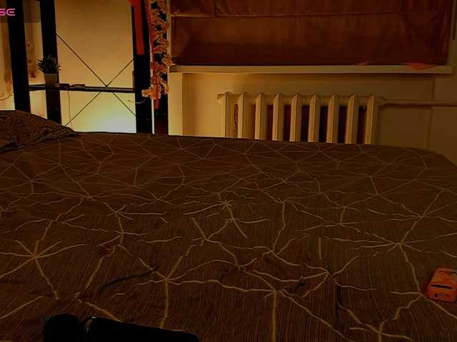 PaleVibe's BongaCams show and profile