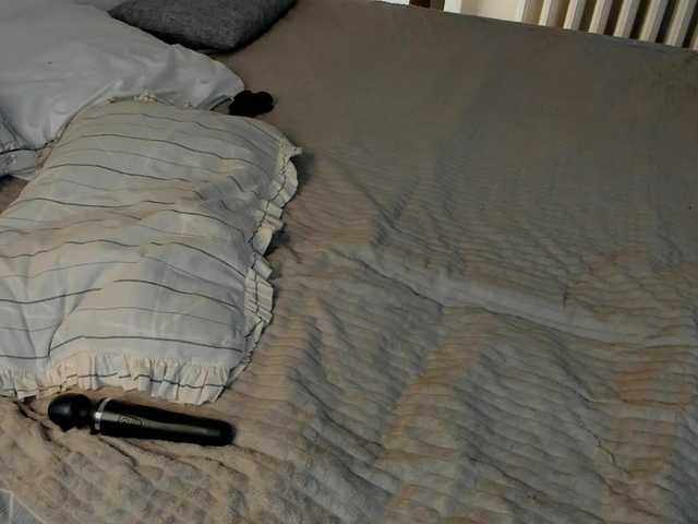 PaleVibe's BongaCams show and profile