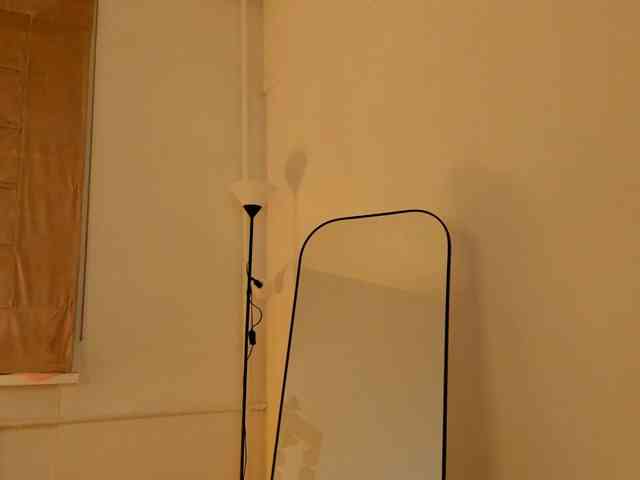 PaleVibe Live Webcam on BongaCams