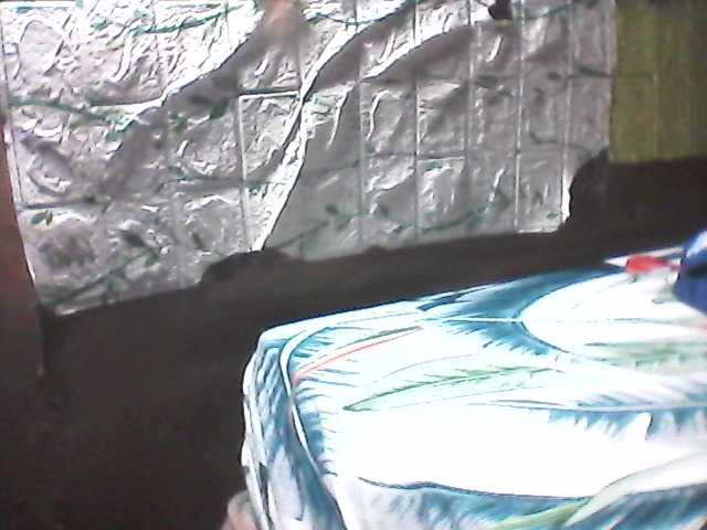 sweetthoney09