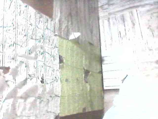 sweetthoney09 webcam