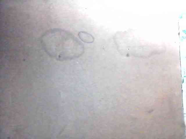 sweetthoney09 webcam