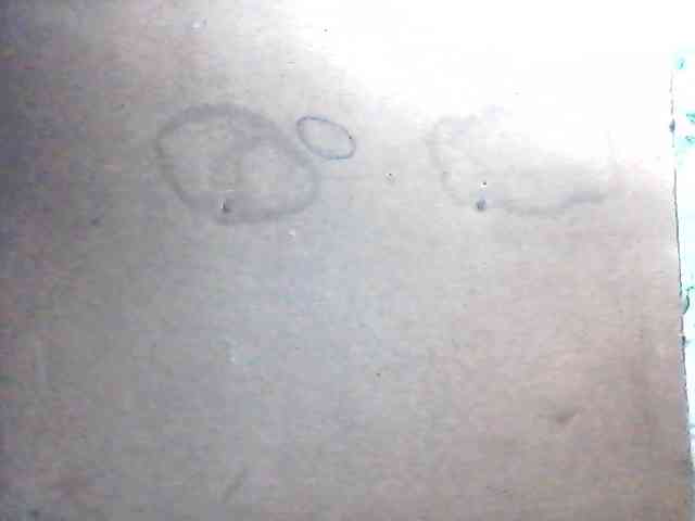 sweetthoney09 webcam