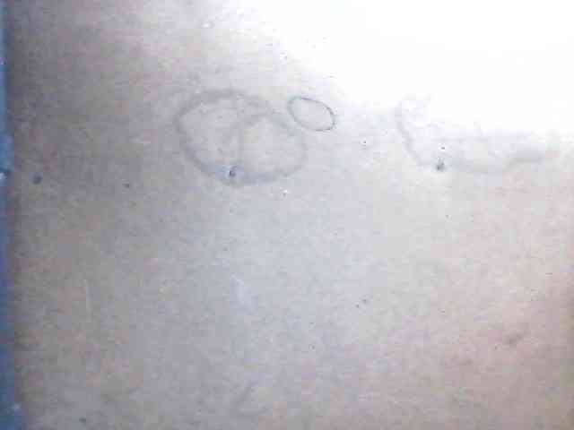 sweetthoney09 webcam