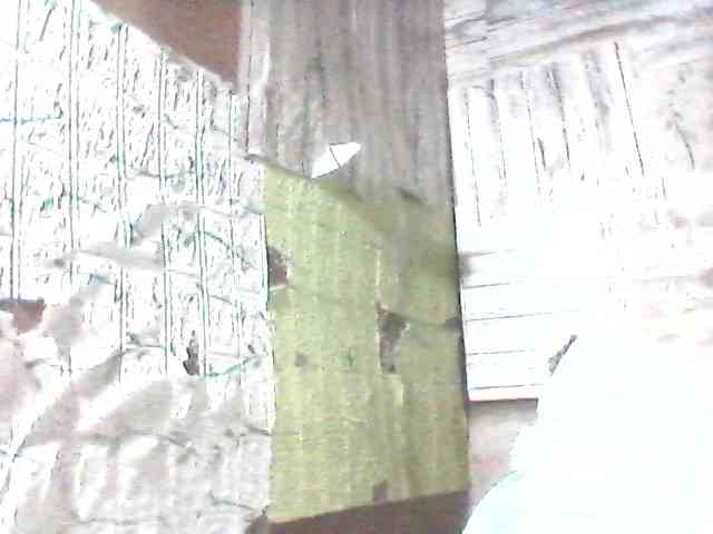 sweetthoney09 webcam