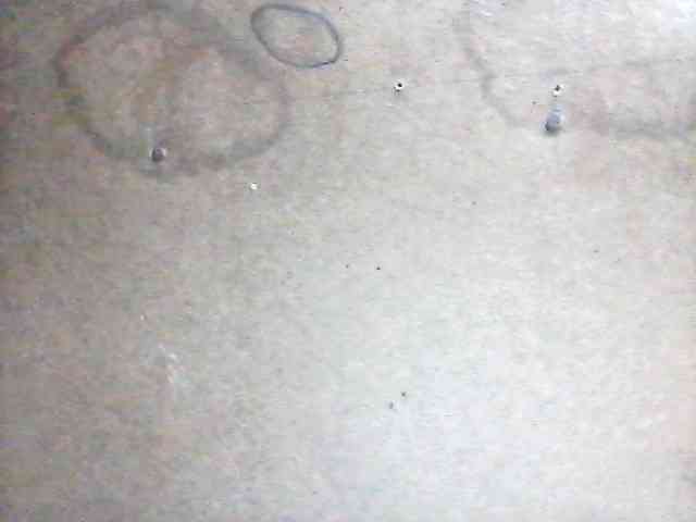 sweetthoney09 webcam