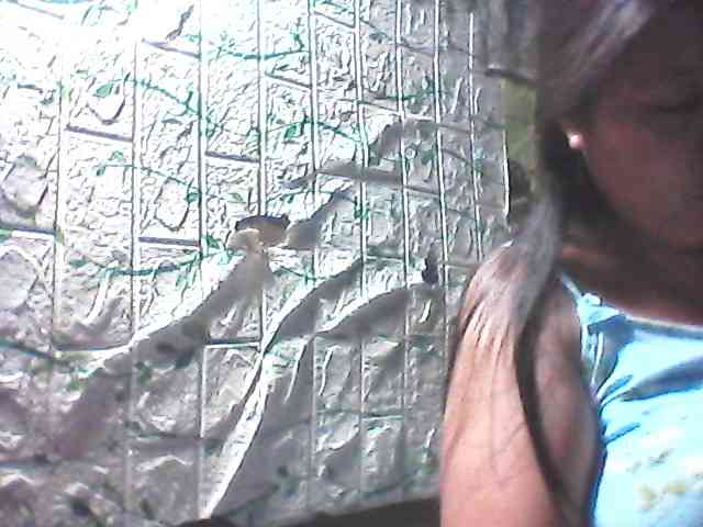 sweetthoney09 webcam