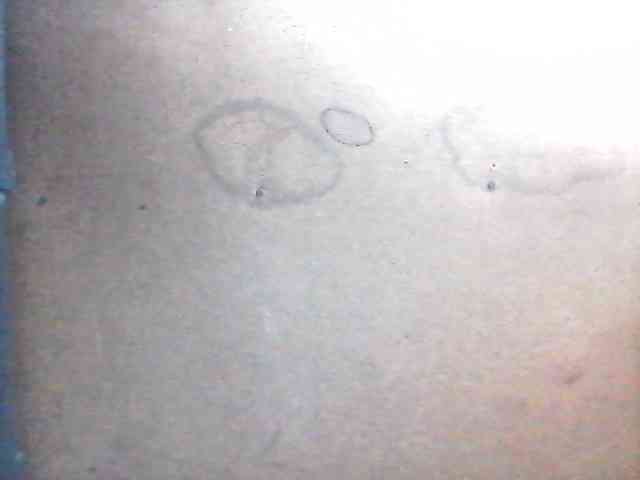 sweetthoney09 webcam