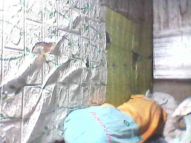 sweetthoney09 webcam