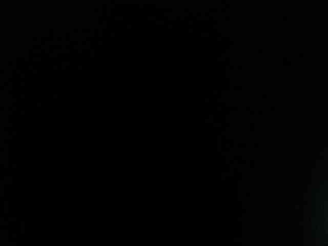paula-ross webcam