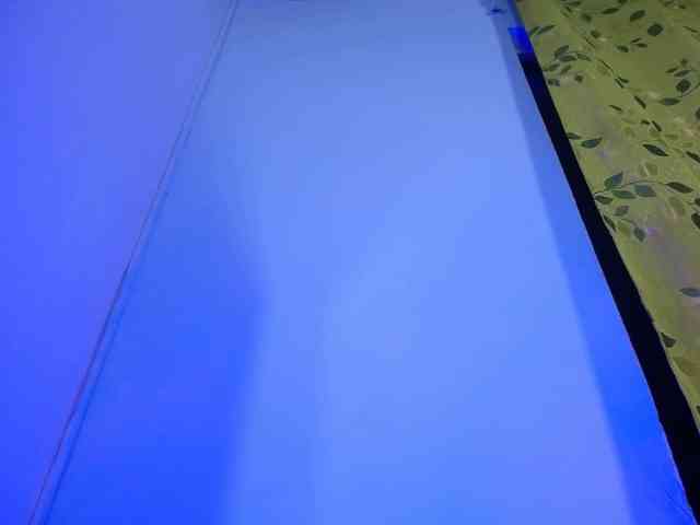 paula-ross webcam