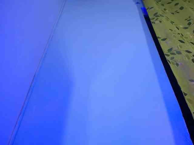 paula-ross webcam