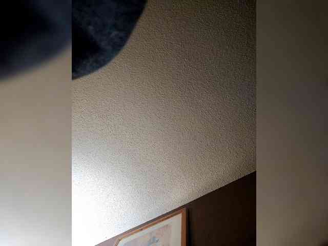 Datguy0126 Live Webcam on BongaCams