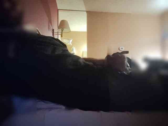Datguy0126 Sex Cam Show