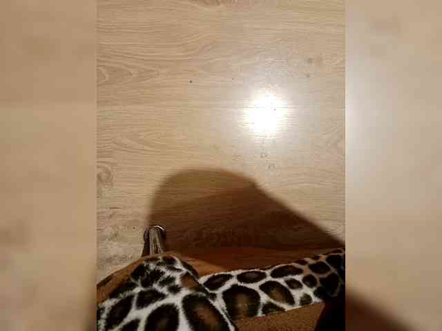 MikkiMorfin686 webcam