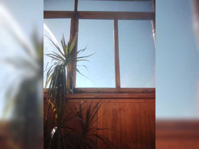 MadamEve — live female cam