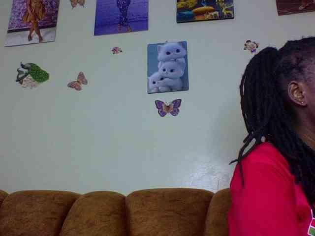Roshan25 webcam
