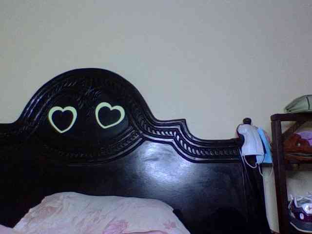 Roshan25 webcam