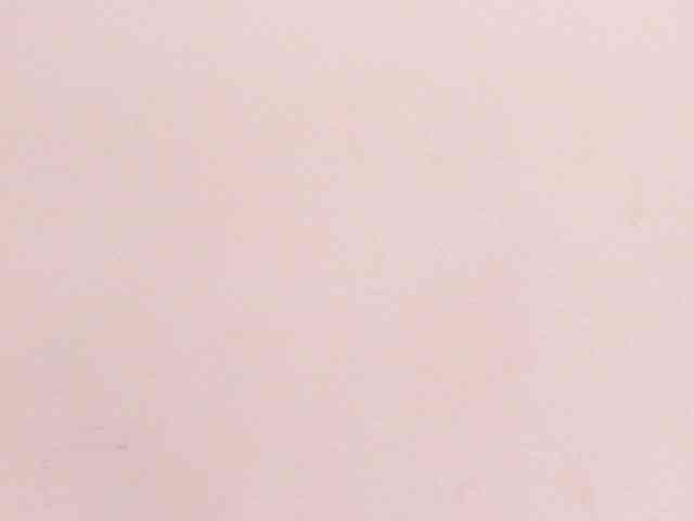 Karina-Towers webcam