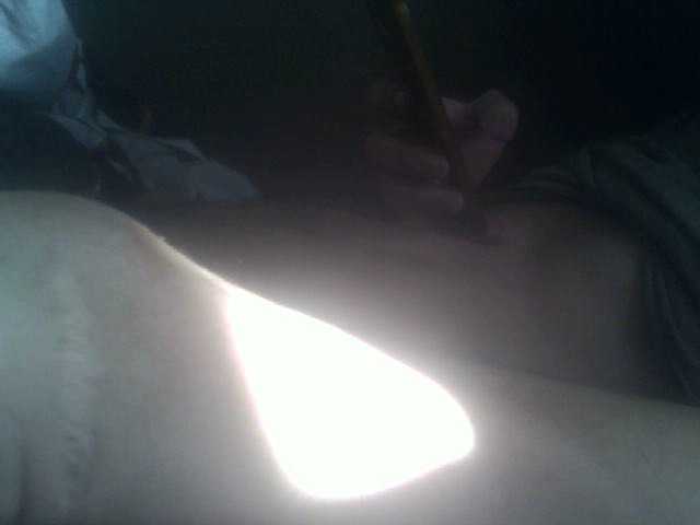 Pauk13