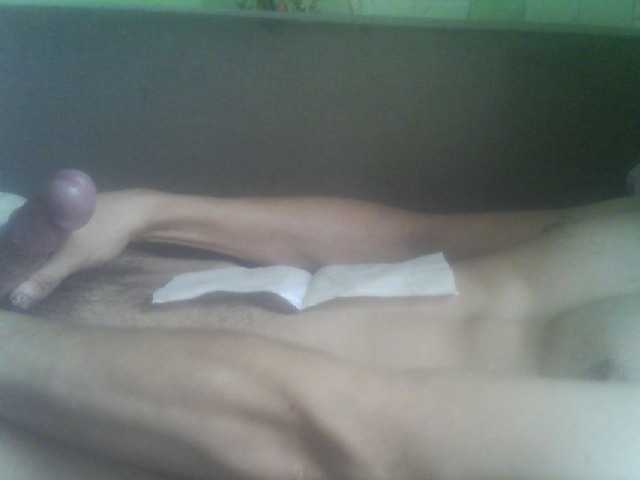 Pauk13