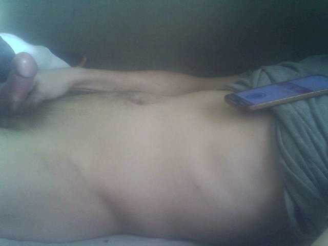 Pauk13