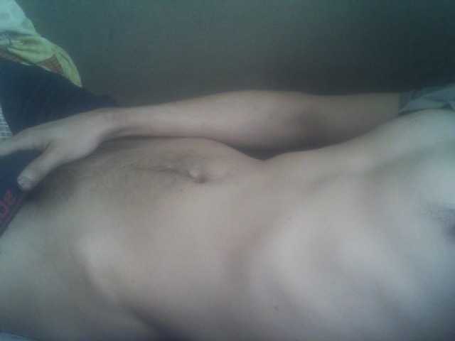 Pauk13