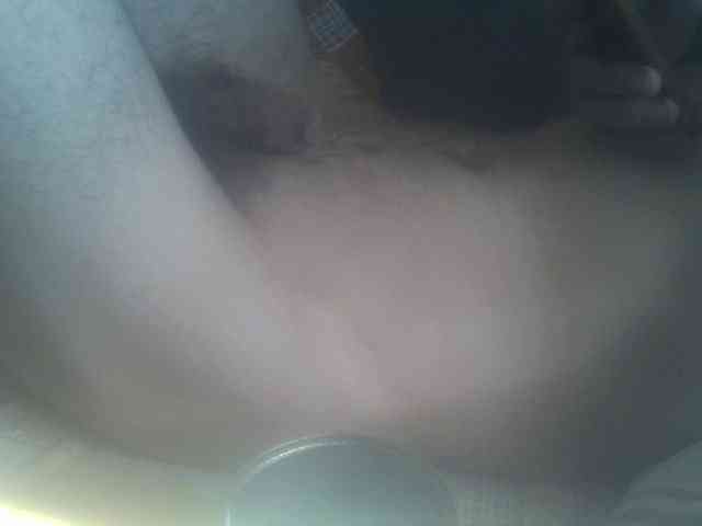 Pauk13