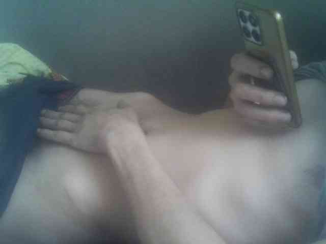 Pauk13