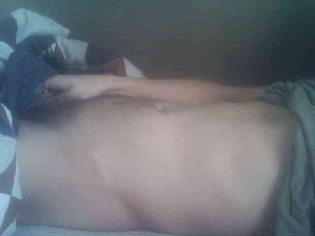 Pauk13 Pauk13