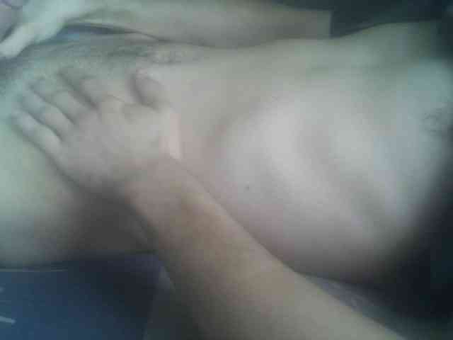 Pauk13 Pauk13